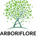 Paysagiste Arboriflore Ile de France